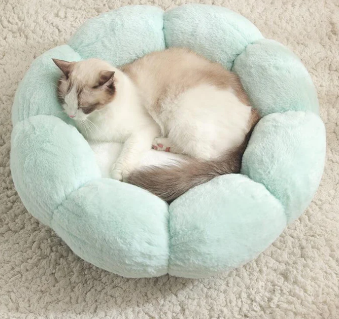 Fluffy Bliss Donut Pet Bed for Cozy Comfort (One Piece)