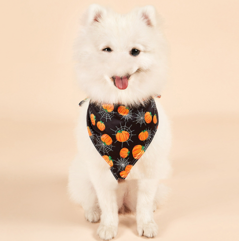 Halloween Double-sided Pet Towel Accessories