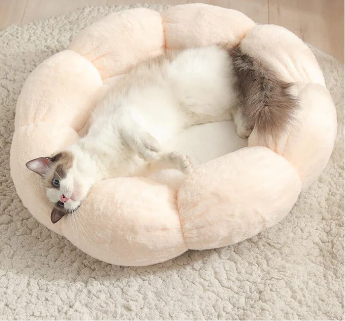 Fluffy Bliss Donut Pet Bed for Cozy Comfort (One Piece)