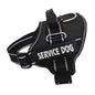 Personalized Pet Chest Strap Products