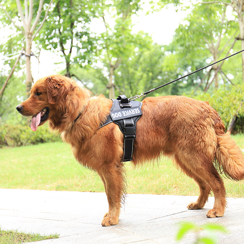 Personalized Pet Chest Strap Products