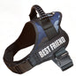 Night Reflective Pet Clothing and Accessories